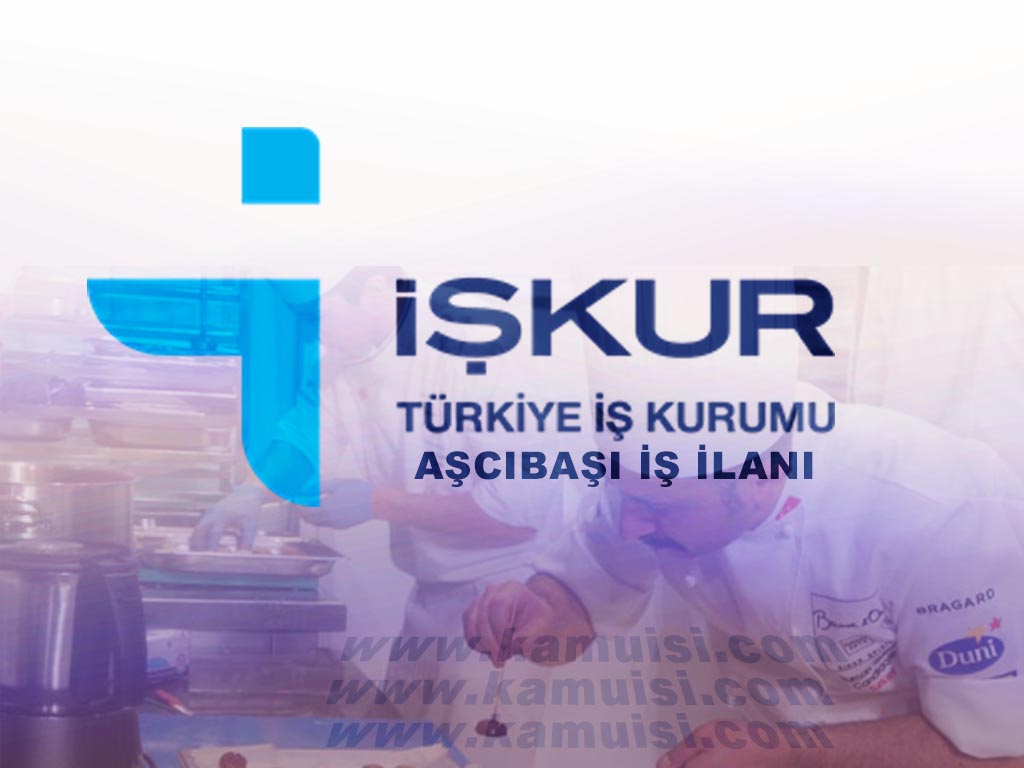 AŞCIBAŞI İŞ İLANLARI