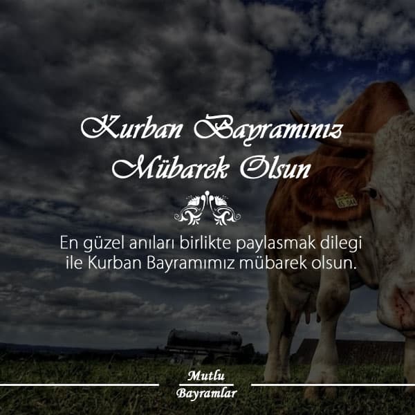 kurban bayramı