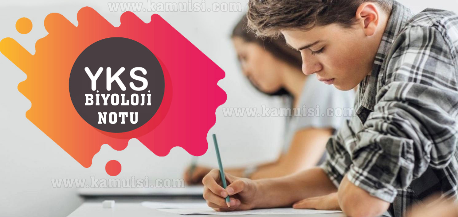 YKS BİYOLOJİ DERS NOTU İNDİR