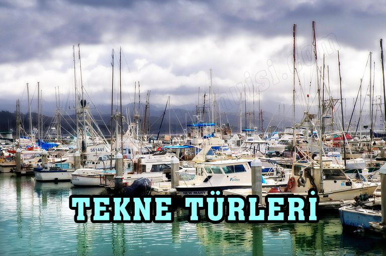 TEKNE TÜRLERİ