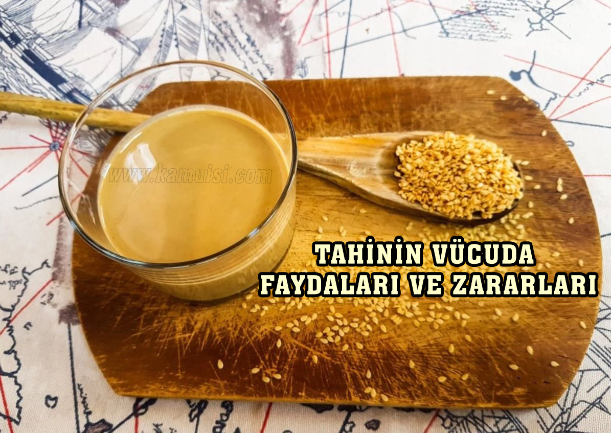 Tahinin faydaları zararları