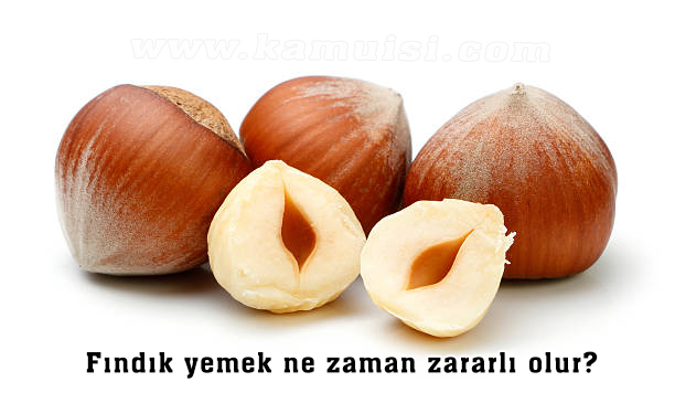 Fındık yemek ne zaman zararlı olur?