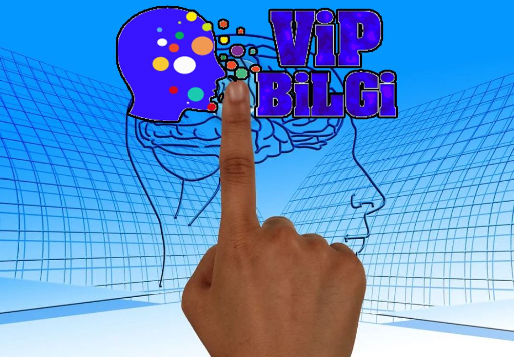VİPBİLGİ YAYINDA!
