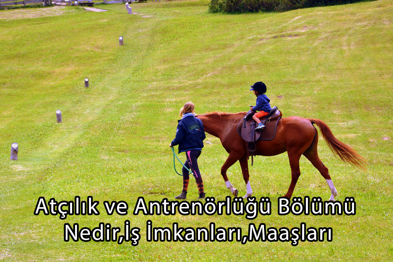 Atçılık ve Antrenörlüğü Bölümü Nedir,İş İmkanları,Maaşları