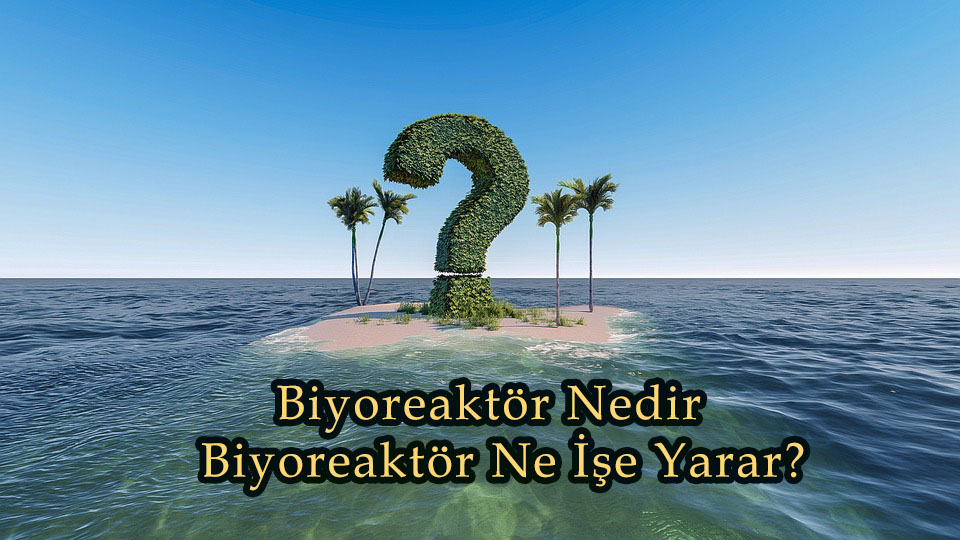 Biyoreaktör Nedir