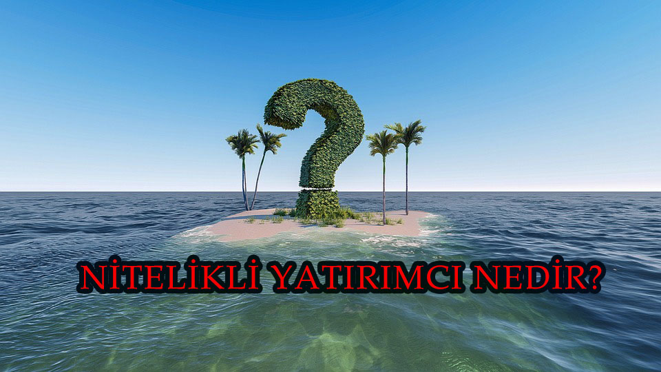 Nitelikli yatırımcı nedir