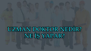Uzman doktor nedir?