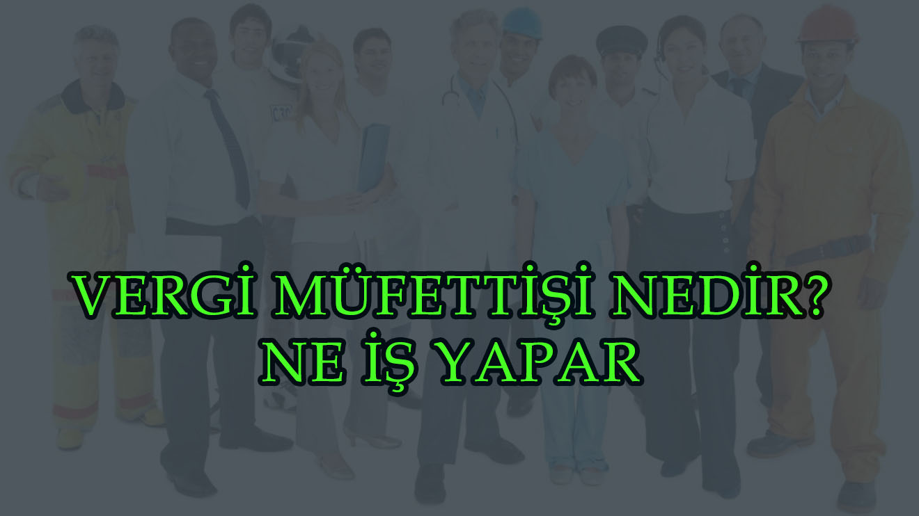 VERGİ MÜFETTİŞİ NEDİR