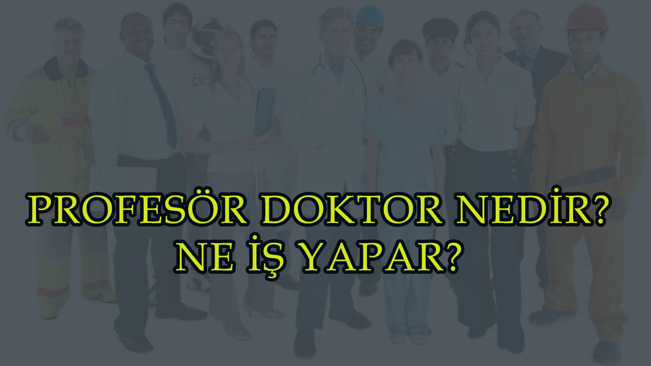 PROFESÖR DOKTOR NEDİR